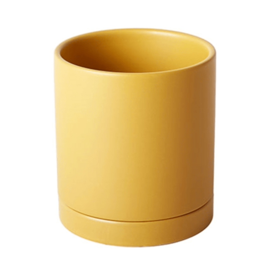 Plant Goals Plant Shop 5" Romey Pot | Yellow