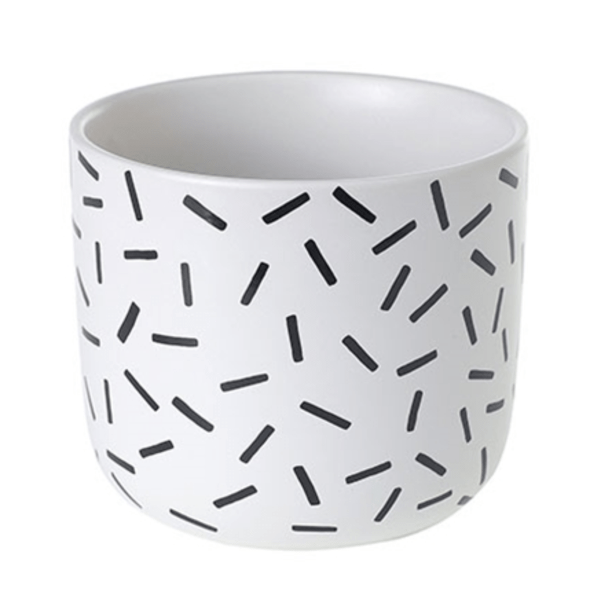 Plant Goals Plant Shop 5" Sprinkle Pot | White