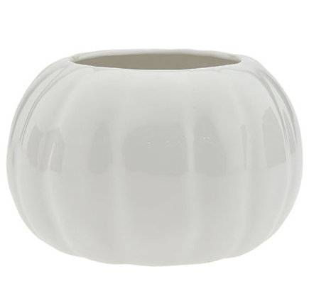 Plant Goals Plant Shop 5" White Pumpkin Potcover