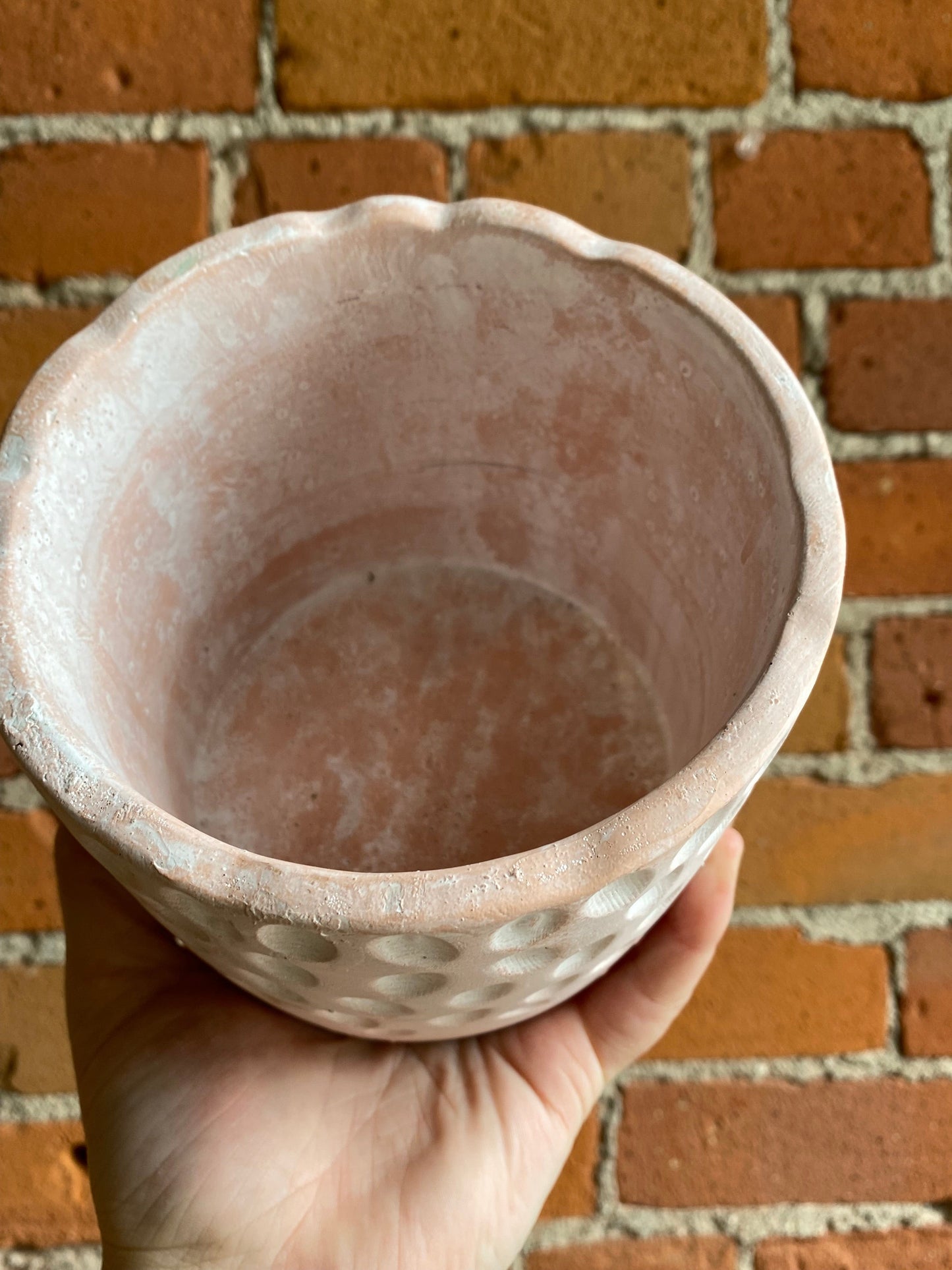 Plant Goals Plant Shop 5" Yeud Potcover