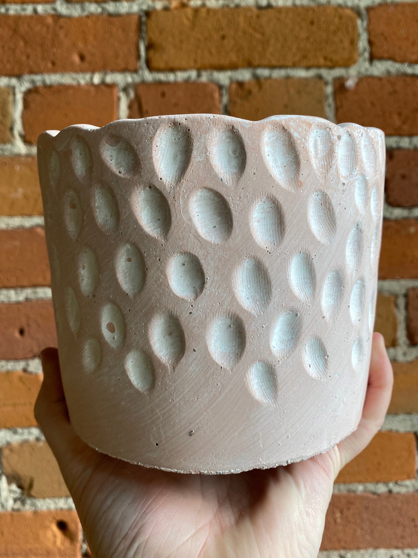 Plant Goals Plant Shop 5" Yeud Potcover
