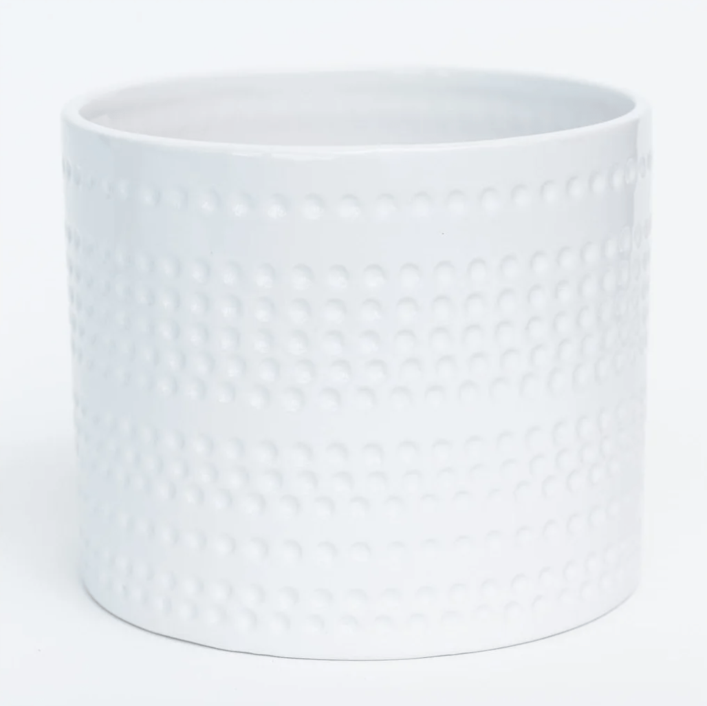 Plant Goals Plant Shop 6.7" Dotty Potcover | White