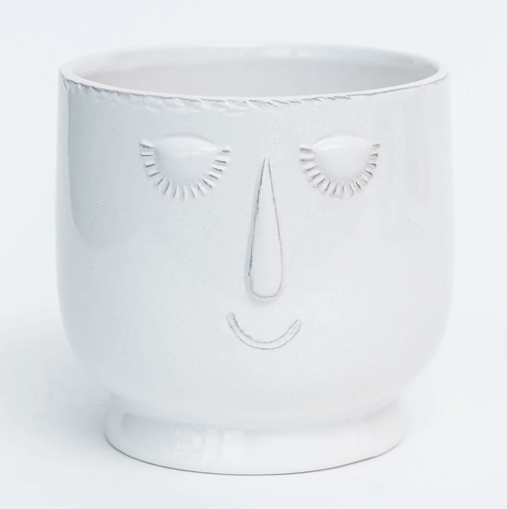 Plant Goals Plant Shop 6.7" Serene Potcover | Cream