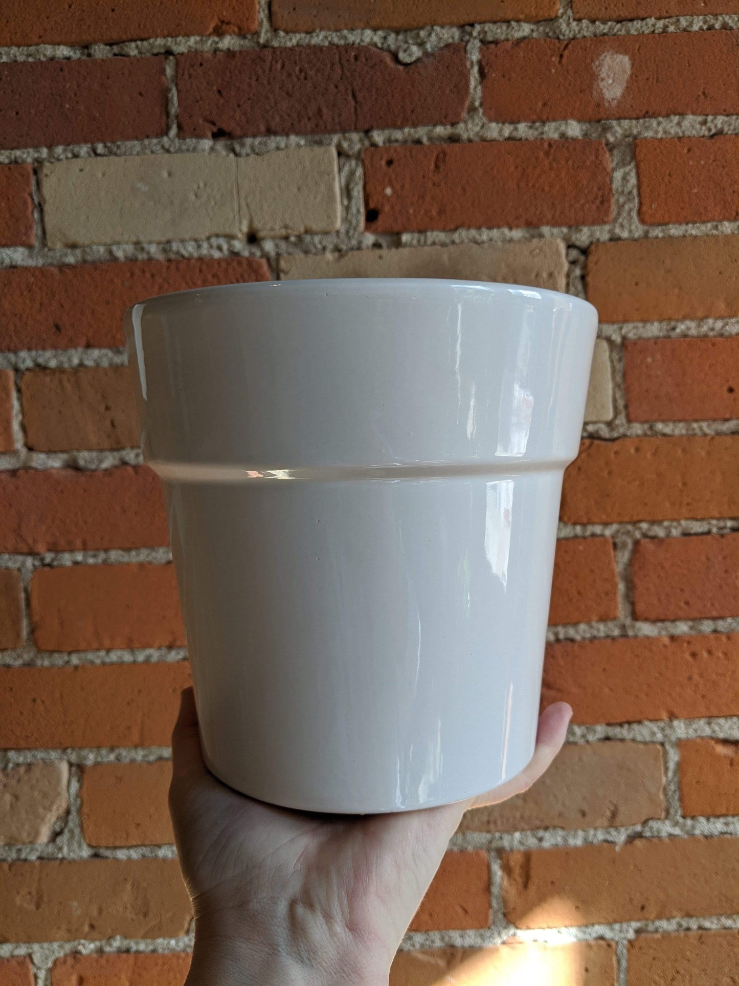 Plant Goals Plant Shop 6" Designer Ceramic Potcover | White