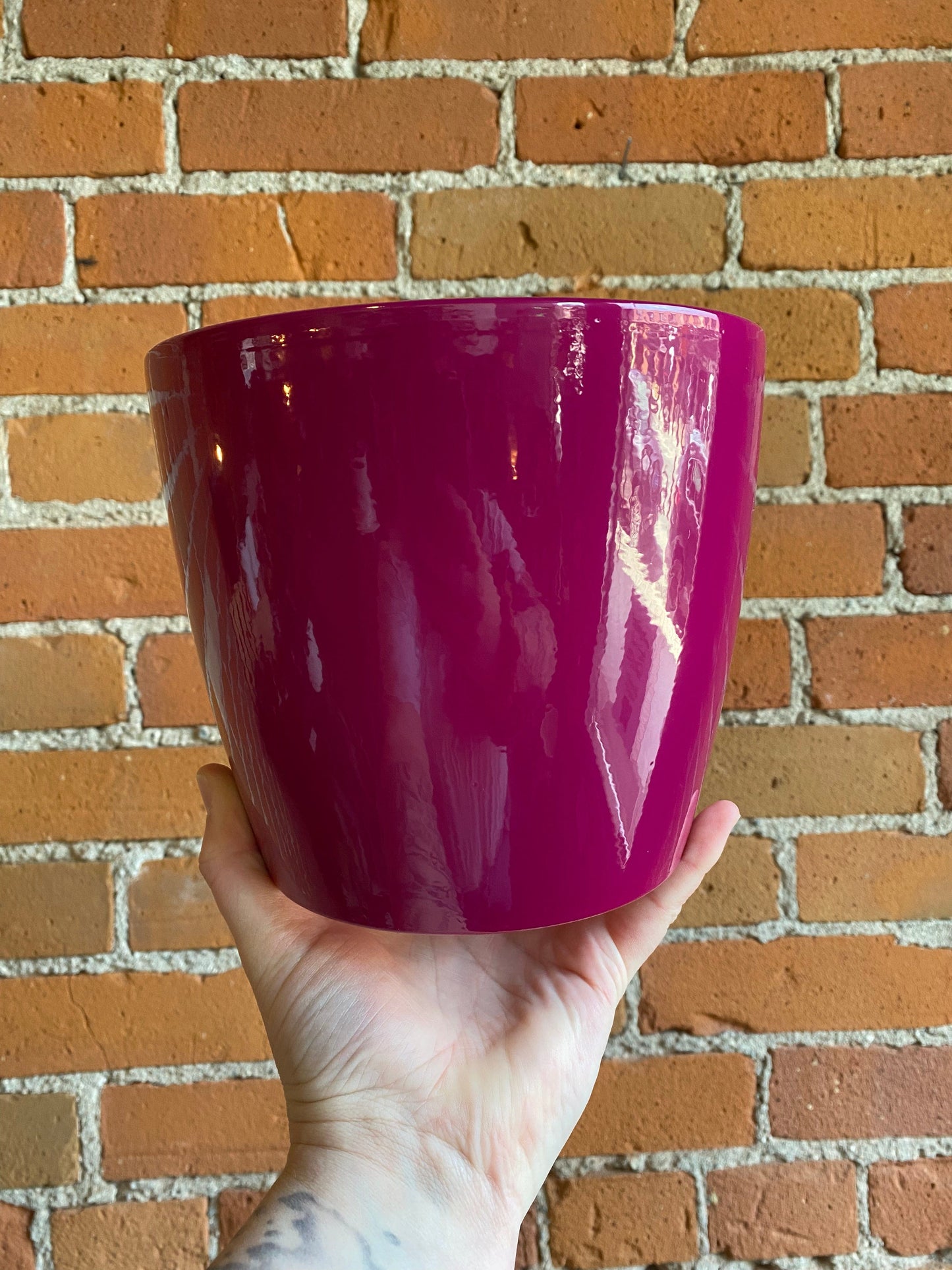 Plant Goals Plant Shop 6" Marlow Potcover | Raspberry