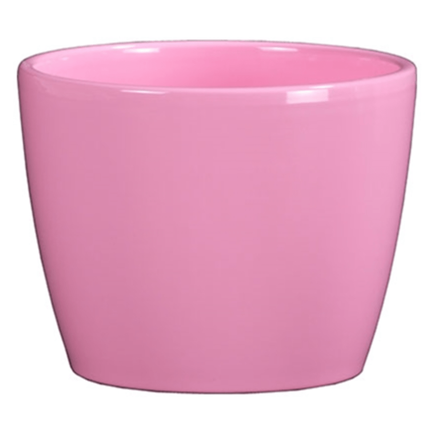 Plant Goals Plant Shop 6" Marlow Potcover | Soft Pink