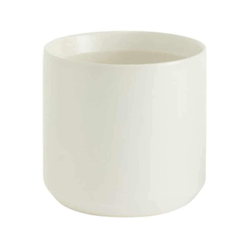 Plant Goals Plant Shop 7" Kendall Potcover | White