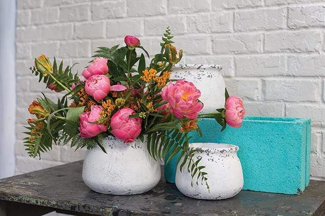 Plant Goals Plant Shop 7" Shabby Potcover