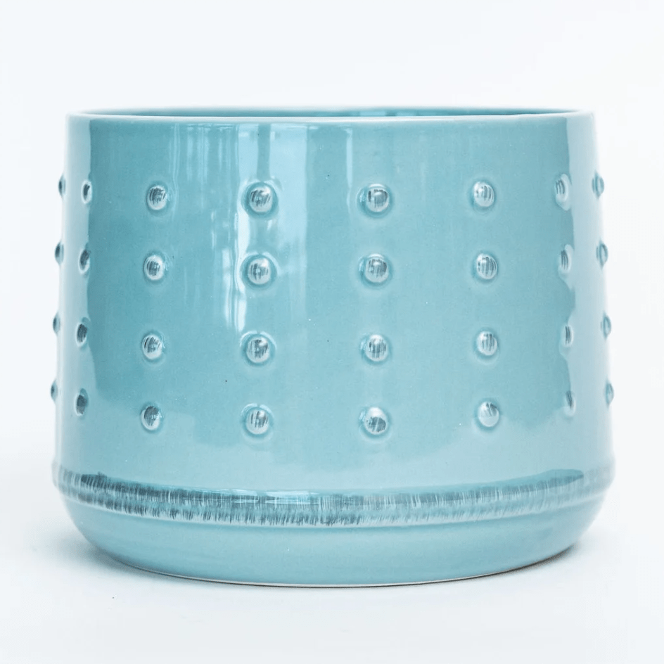 Plant Goals Plant Shop 7" Spotted Potcover | Aqua
