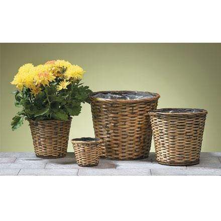 Plant Goals Plant Shop 8" Danbury Basket Potcover
