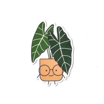 Plant Goals Plant Shop Alocasia | Vinyl Sticker