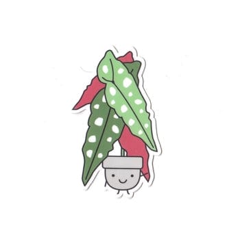 Plant Goals Plant Shop Begonia | Vinyl Sticker