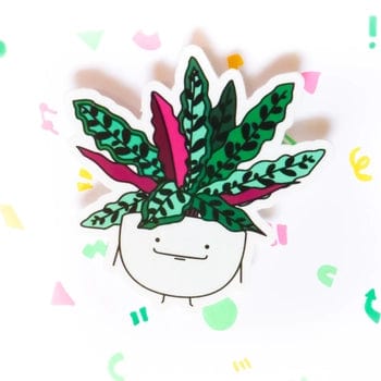 Plant Goals Plant Shop Calathea Rattlesnake | Vinyl Sticker