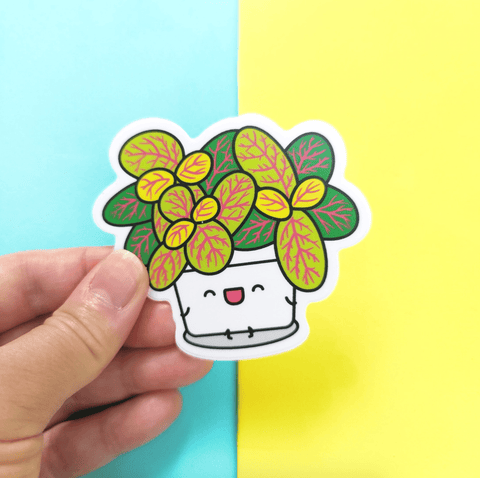 Plant Goals Plant Shop Fittonia | Vinyl Sticker