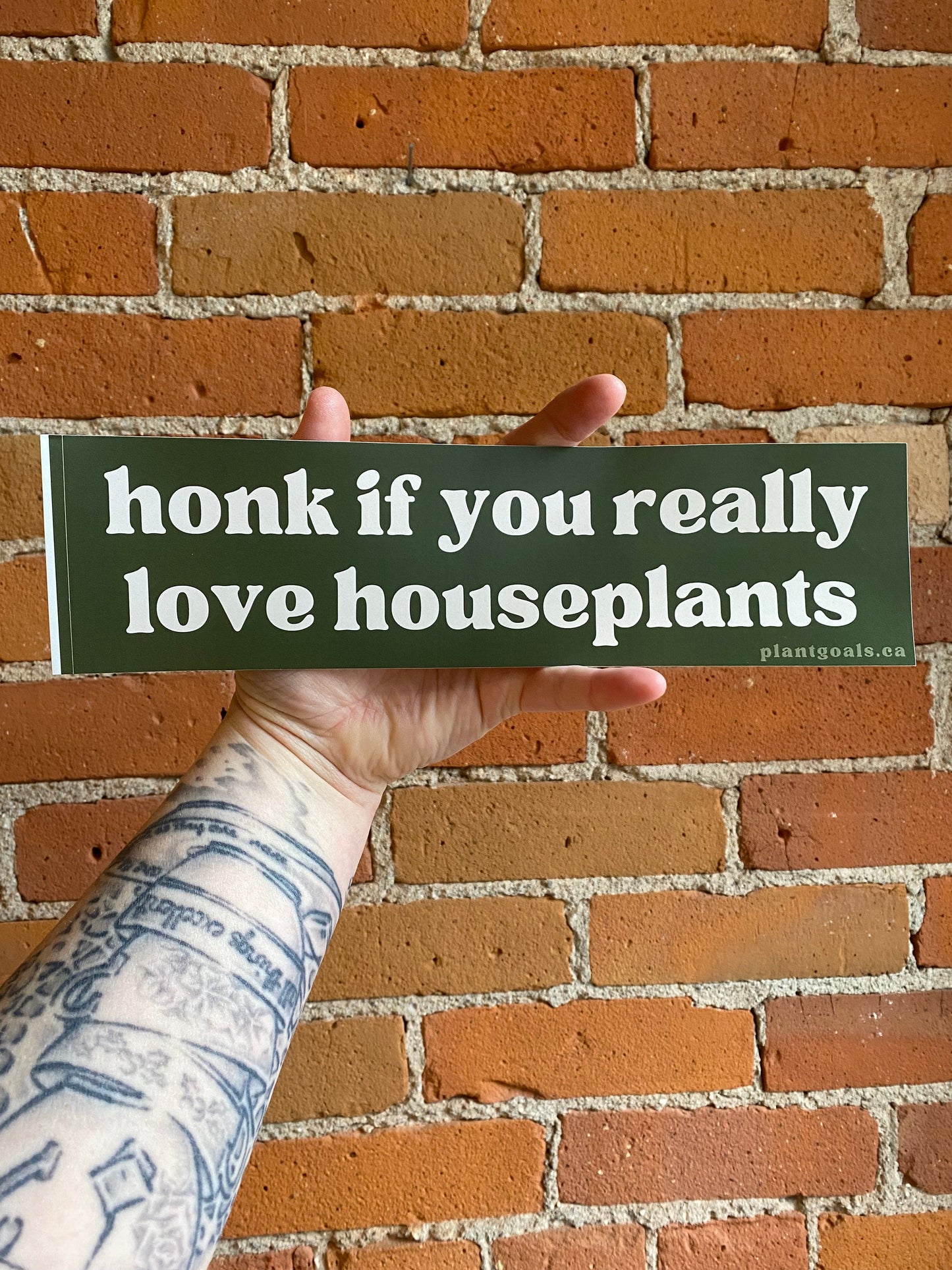 Plant Goals Plant Shop Honk If You Really Love Houseplants Bumper Sticker
