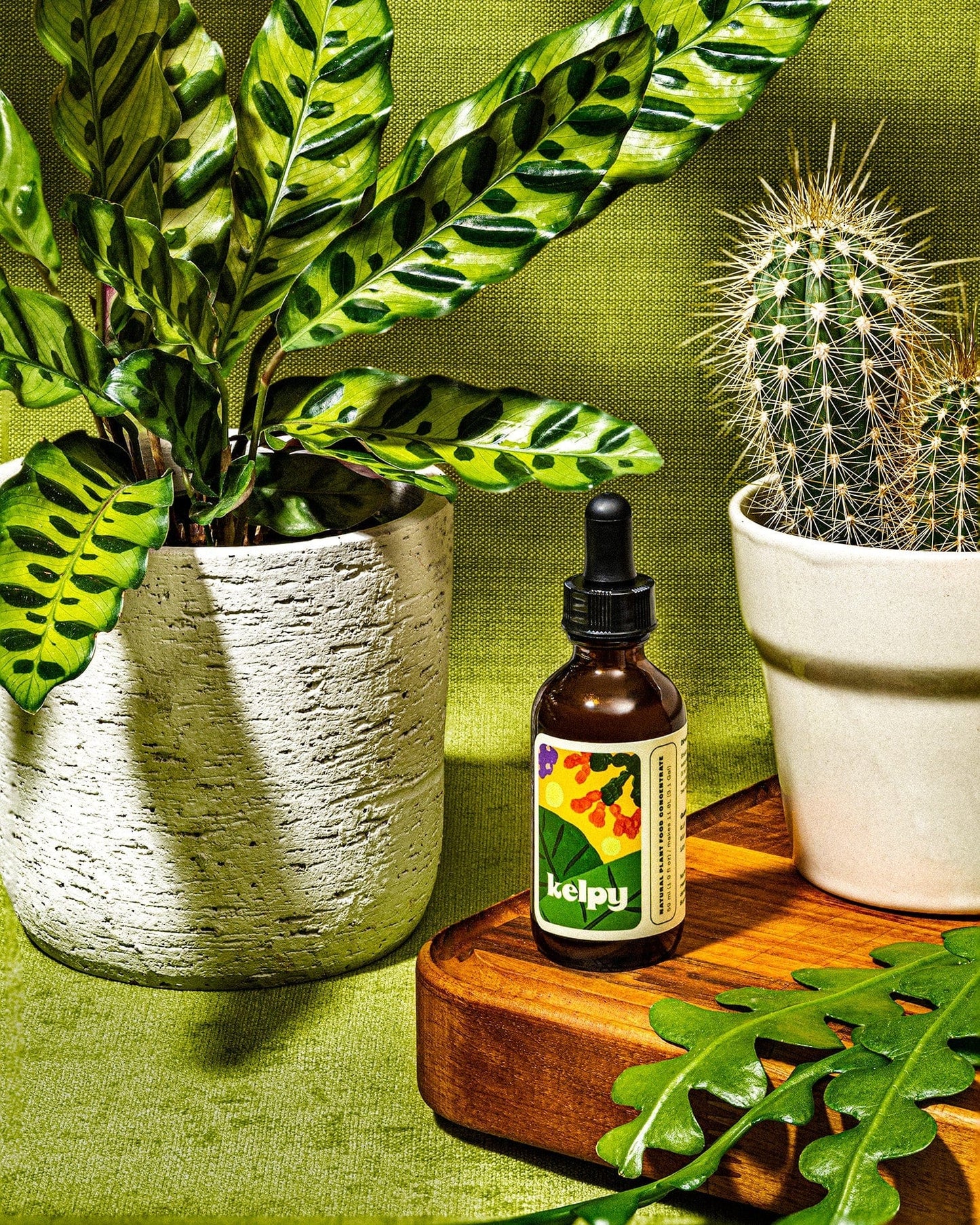 Plant Goals Plant Shop Kelpy Plant Growth Booster | 59ml