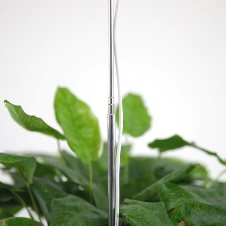Plant Goals Plant Shop Mossify Adjustable LED Plant Light