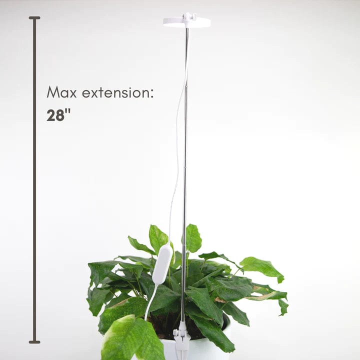 Plant Goals Plant Shop Mossify Adjustable LED Plant Light