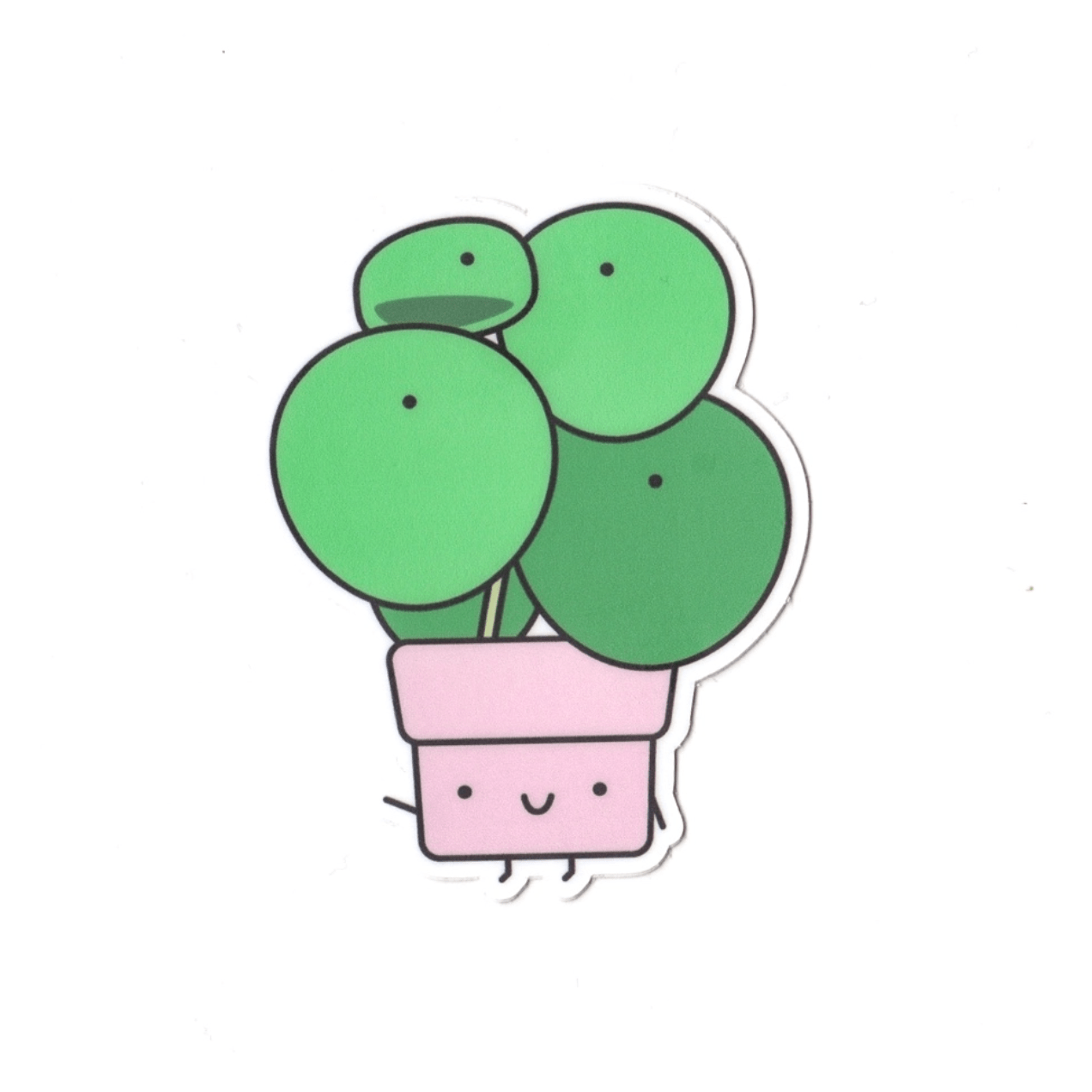 Plant Goals Plant Shop Pilea | Vinyl Sticker