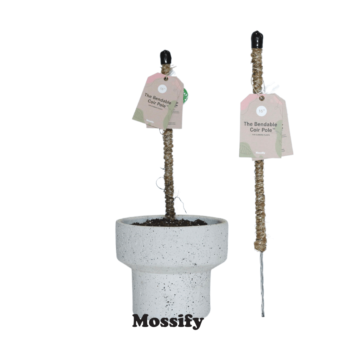 Plant Goals Plant Shop The Bendable Coir Pole™