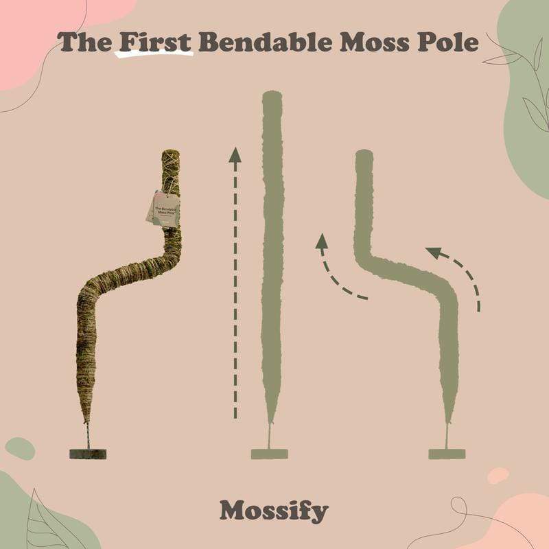 Plant Goals Plant Shop The Bendable Moss Pole™