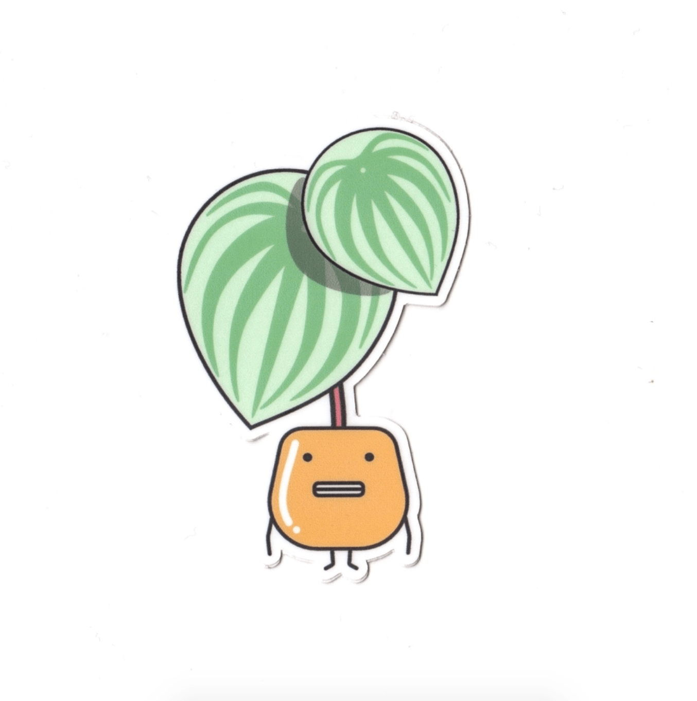 Plant Goals Plant Shop Watermelon Peperomia | Vinyl Sticker