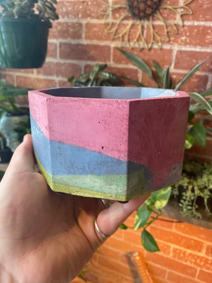 6” Octagon concrete pot / pink, green, purple and yellow