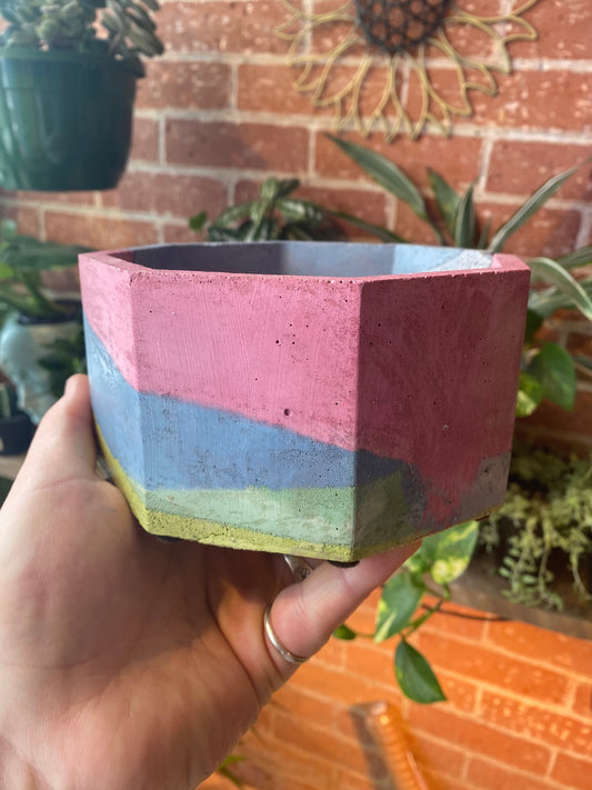 6” Octagon concrete pot / pink, green, purple and yellow