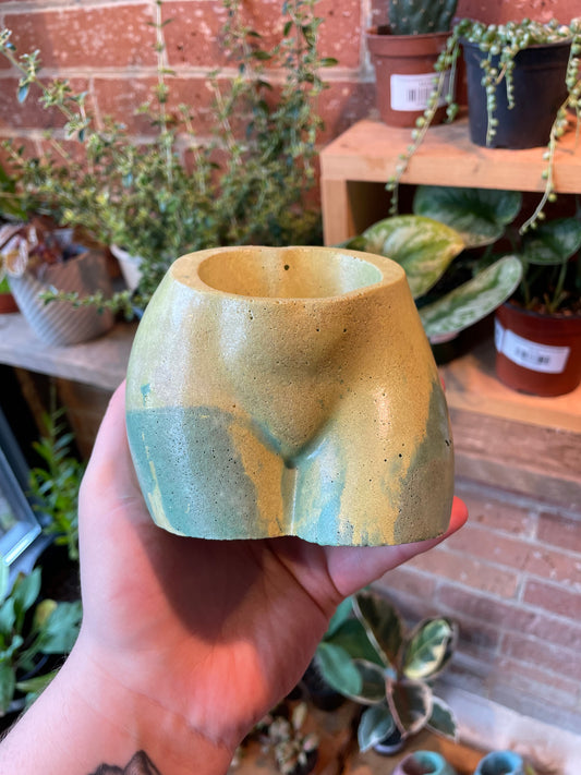 2.5" Concrete Butt Pot Green/Light Green