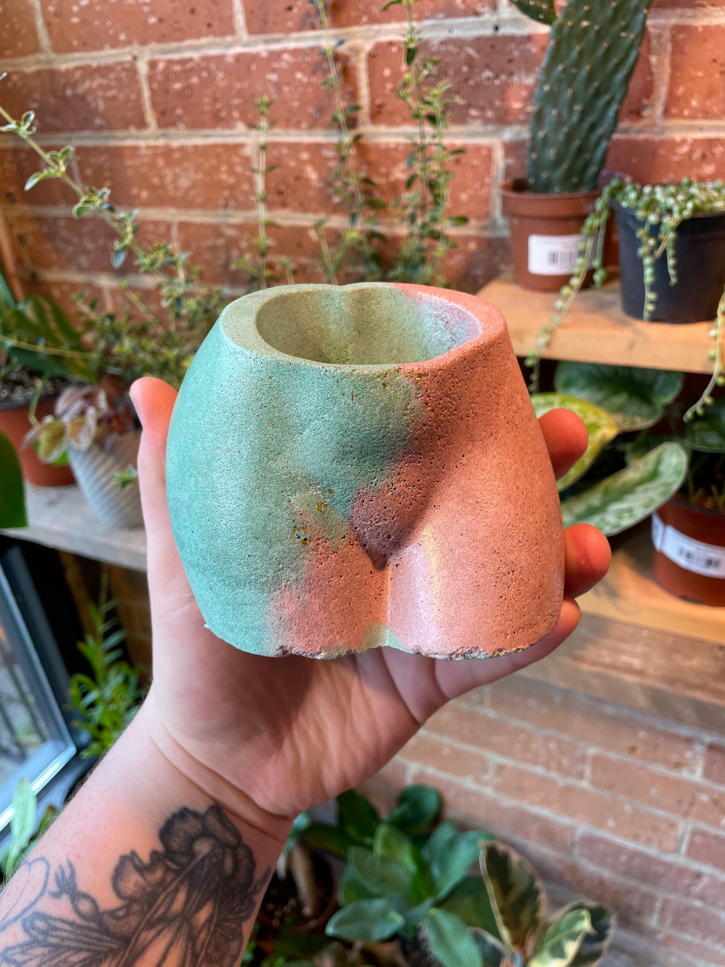 2.5" Concrete Butt Pot Pink/Green