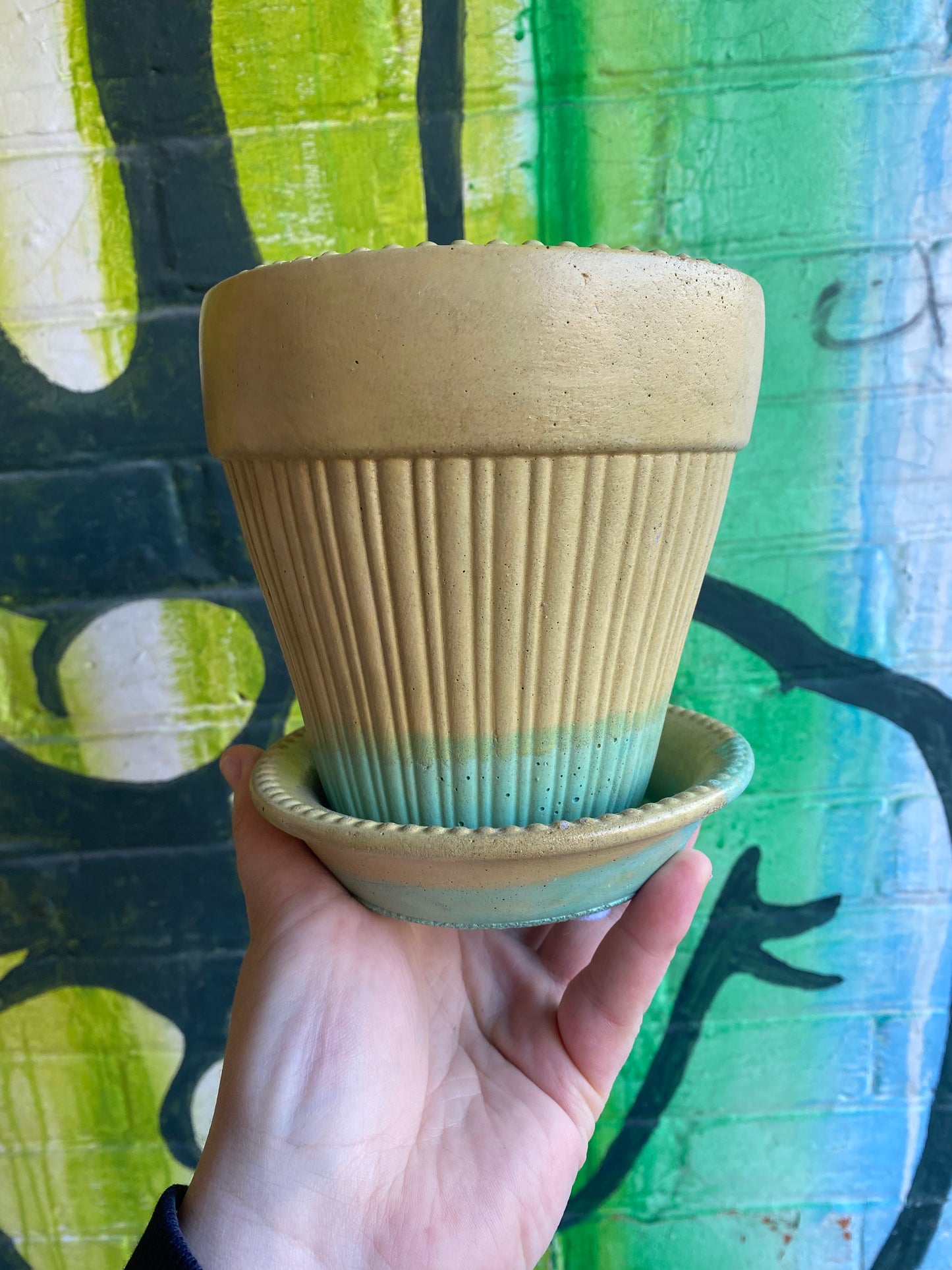 5" Concrete Tapered Pot Yellow/Teal