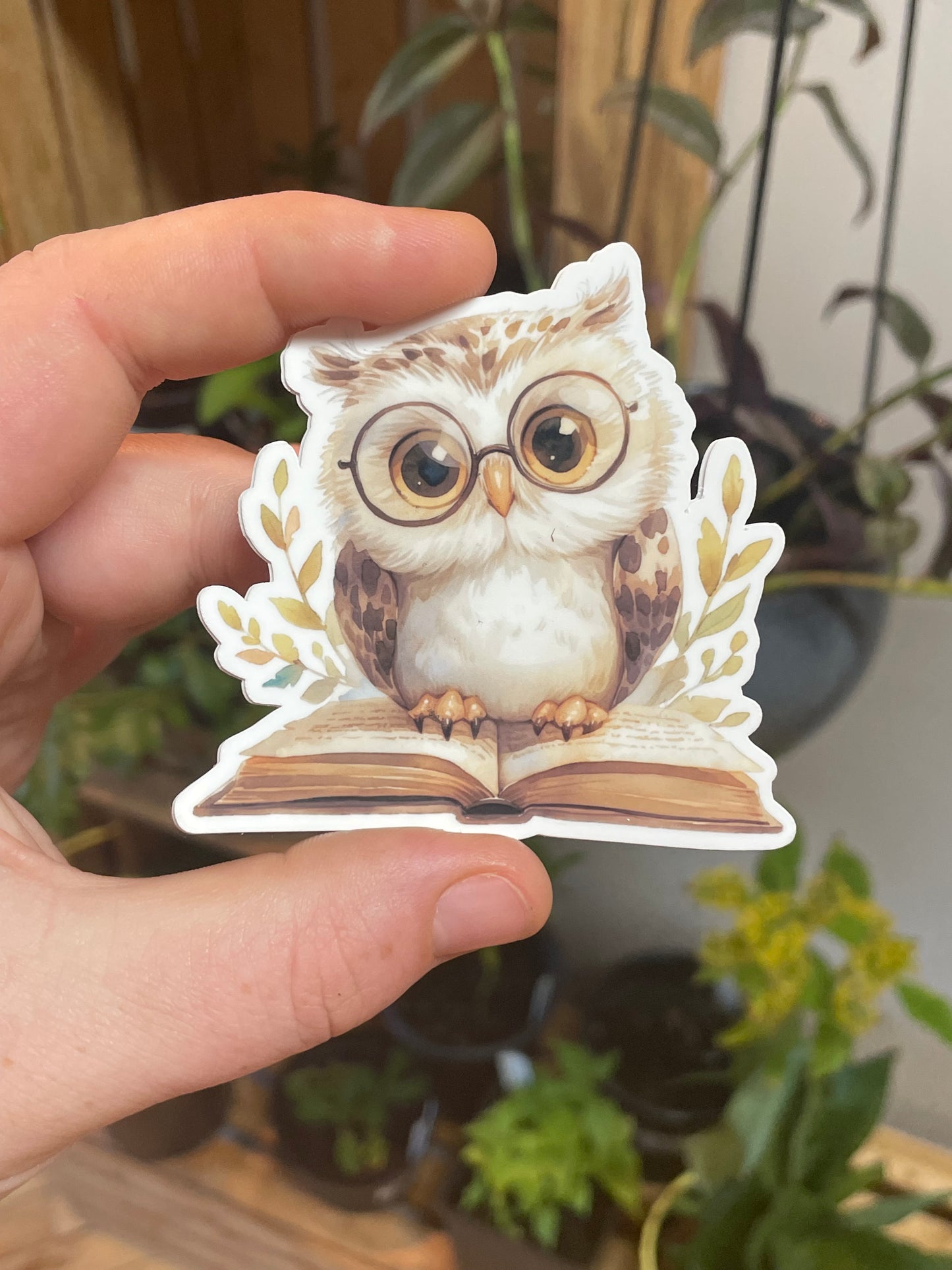 Book Owl Sticker