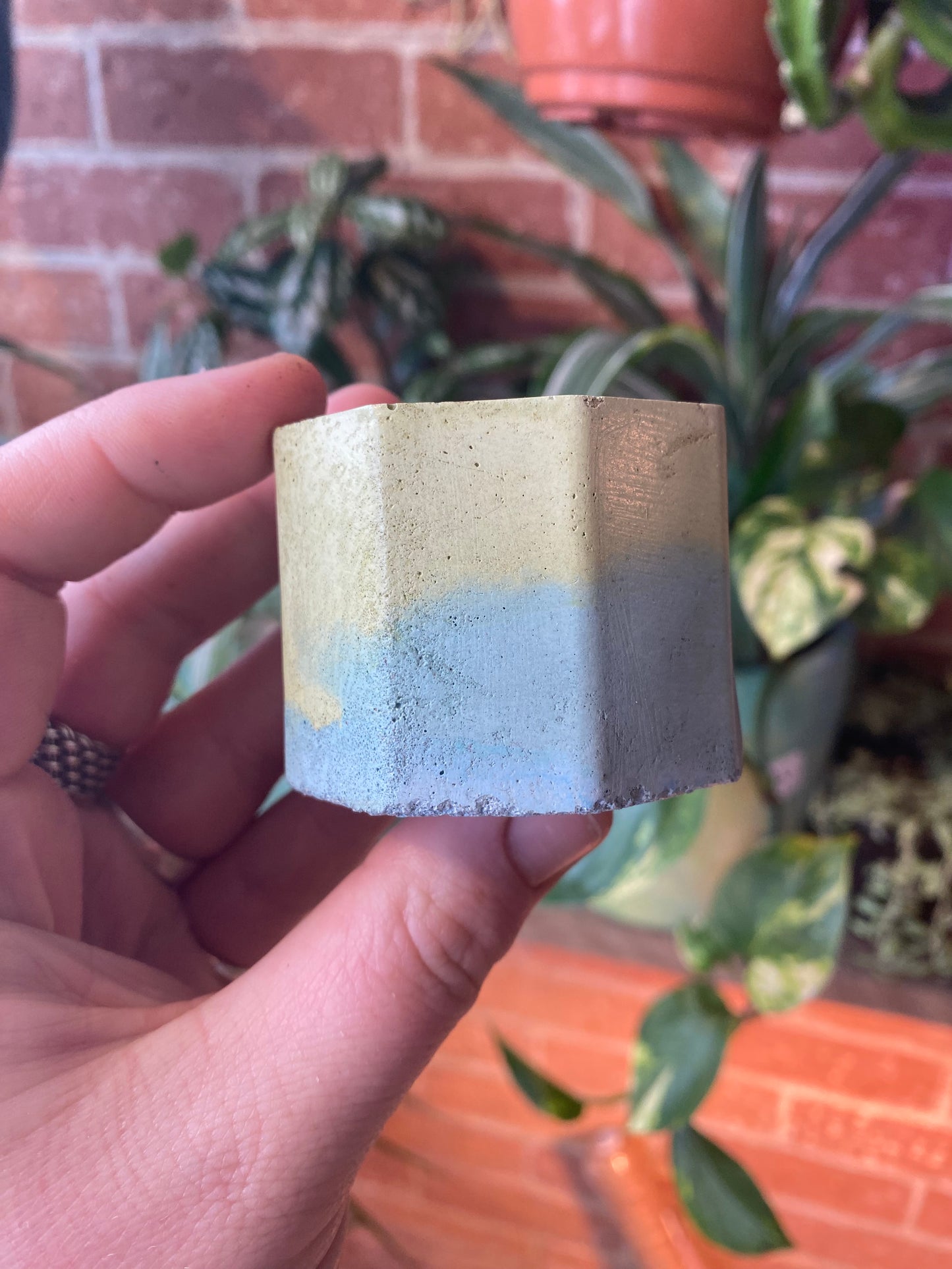 Octagon 2.5” concrete planter
