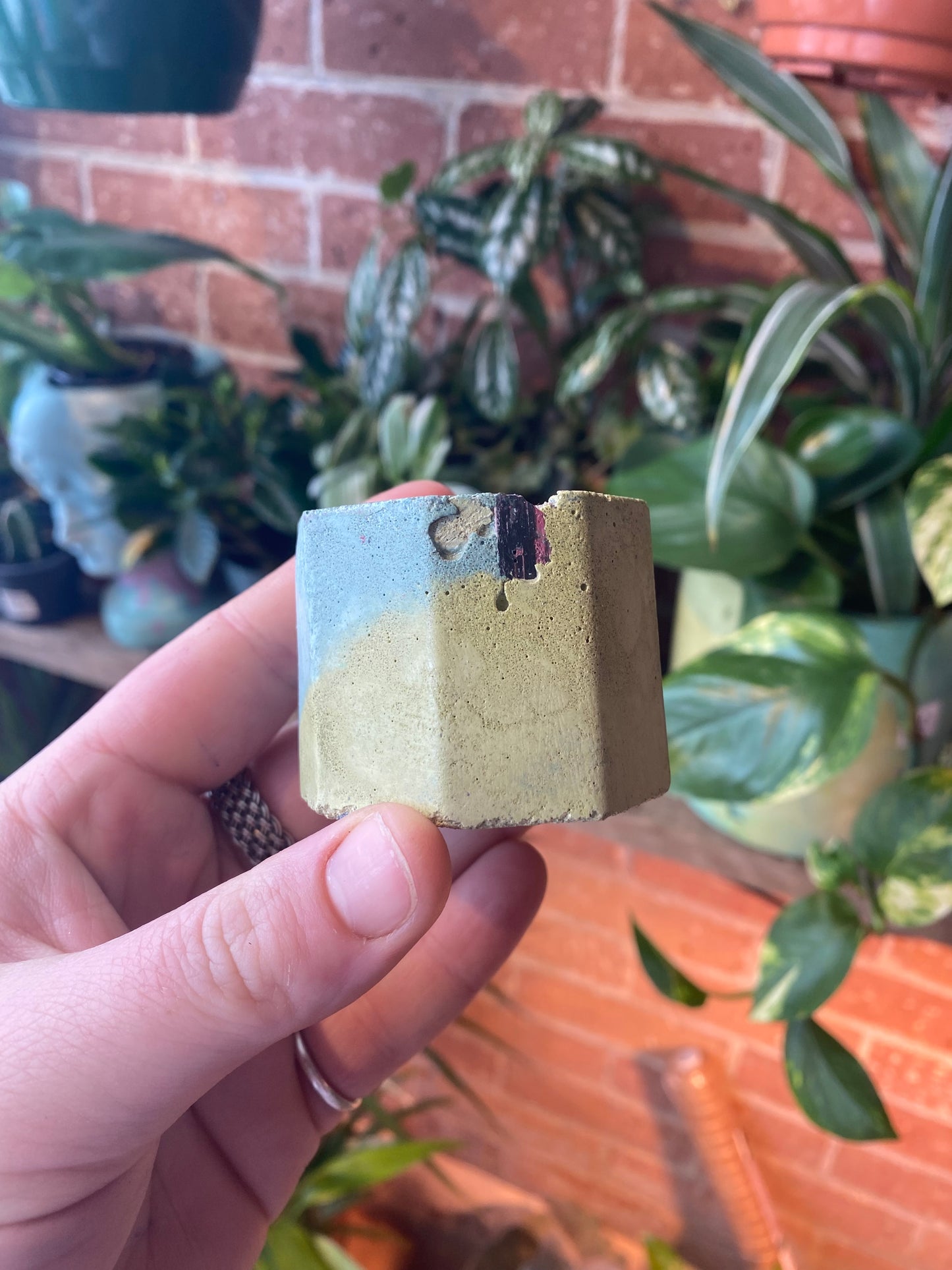 Octagon 2.5” concrete planter