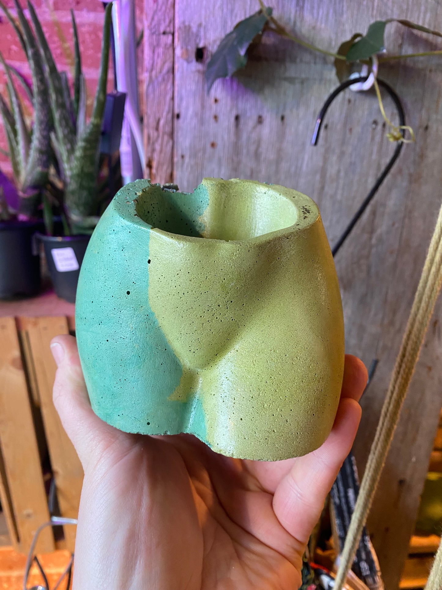 2.5" Concrete Butt Pot Avocado/Turquoise w confetti