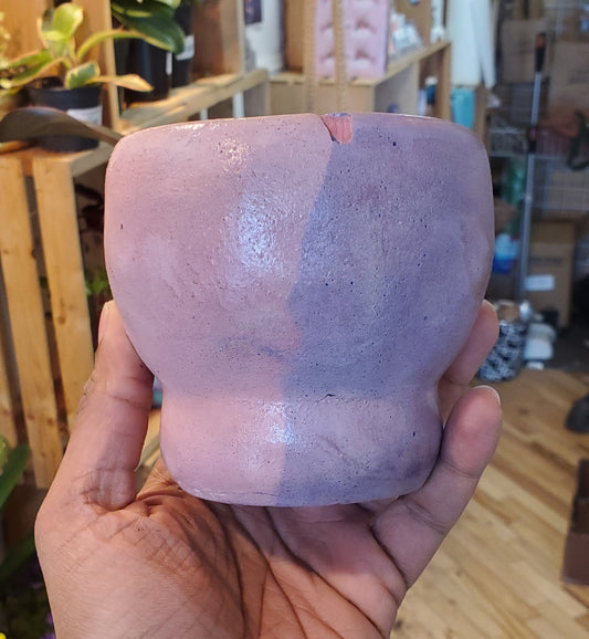 3.5" Concrete Tulip Pot Pink/Purple