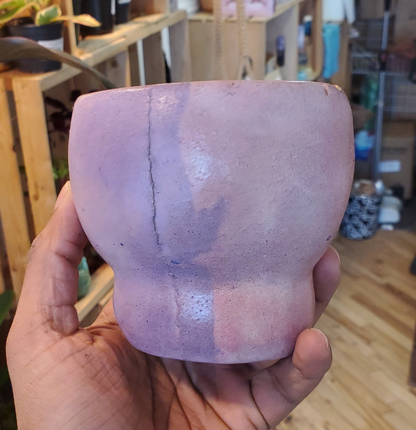 3.5" Concrete Tulip Pot Pink/Purple