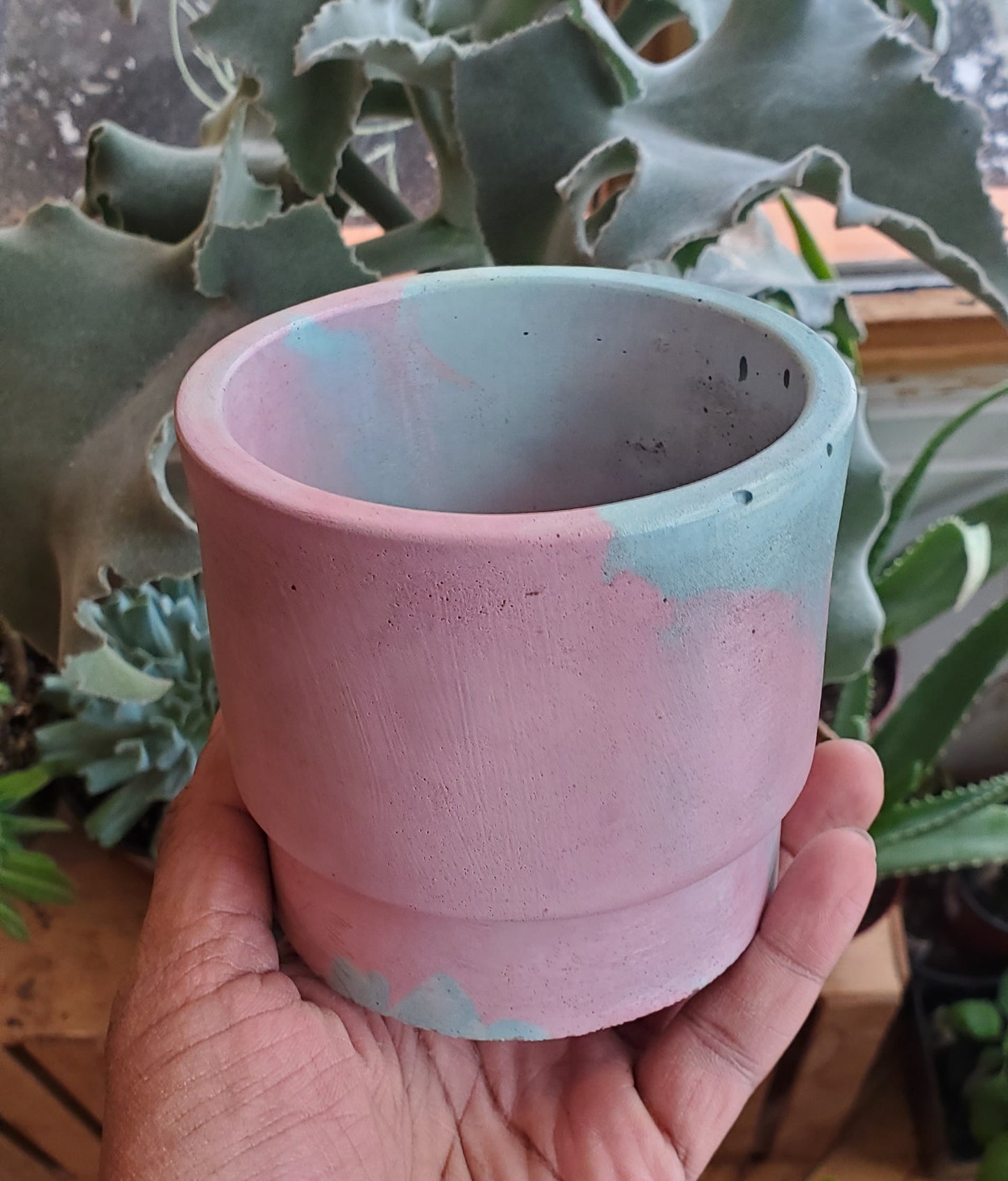 3.5" Concrete Simple Pot Pink/Teal