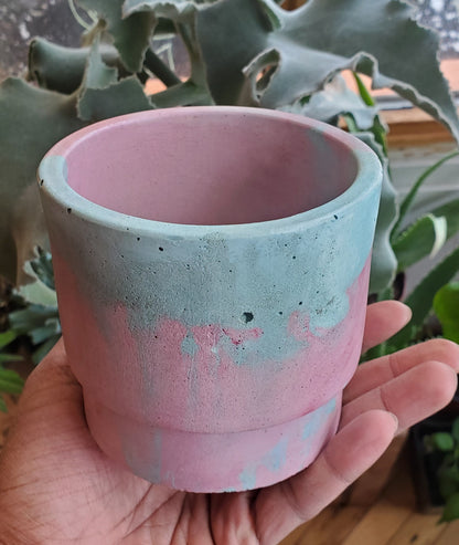 3.5" Concrete Simple Pot Pink/Teal