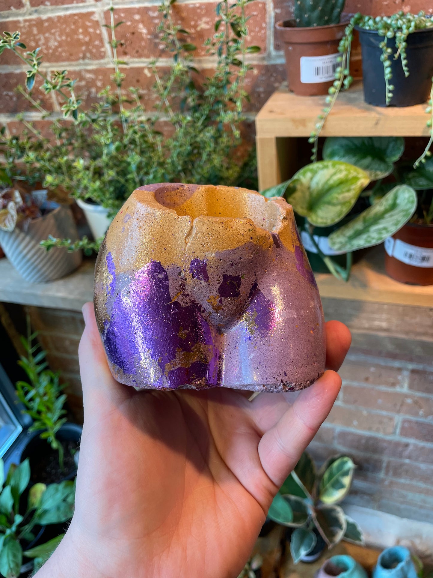 2.5" Concrete Butt Pot Purple/Orange