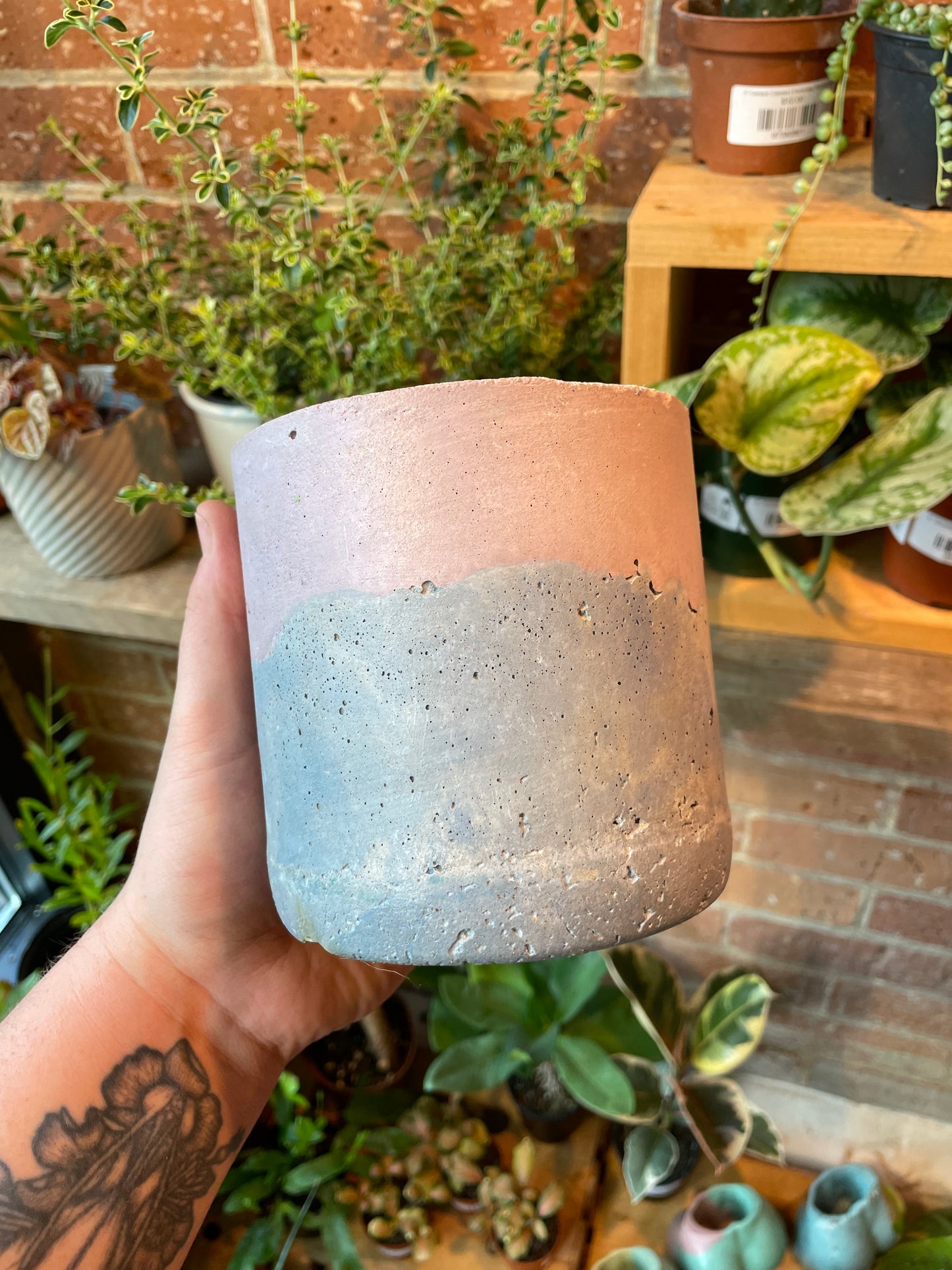 4" Concrete Pot Blue/Pink/Purple