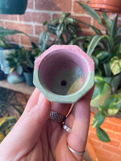 Octagon 2.5” concrete planter