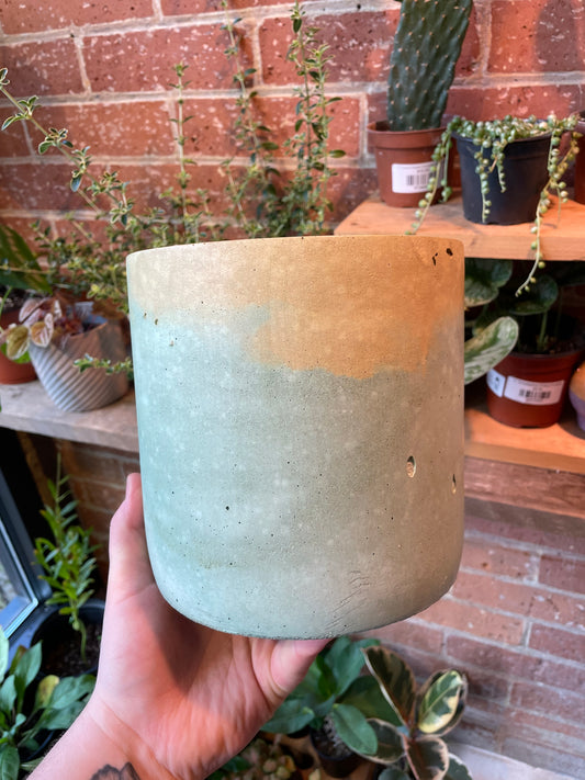 6" Concrete Pot Yellow/Green