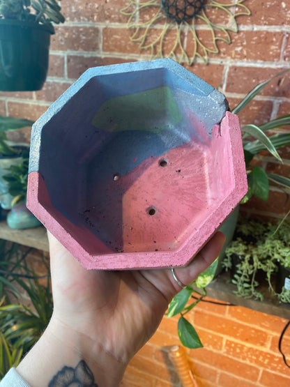 6” Octagon concrete pot / pink, green, purple and yellow