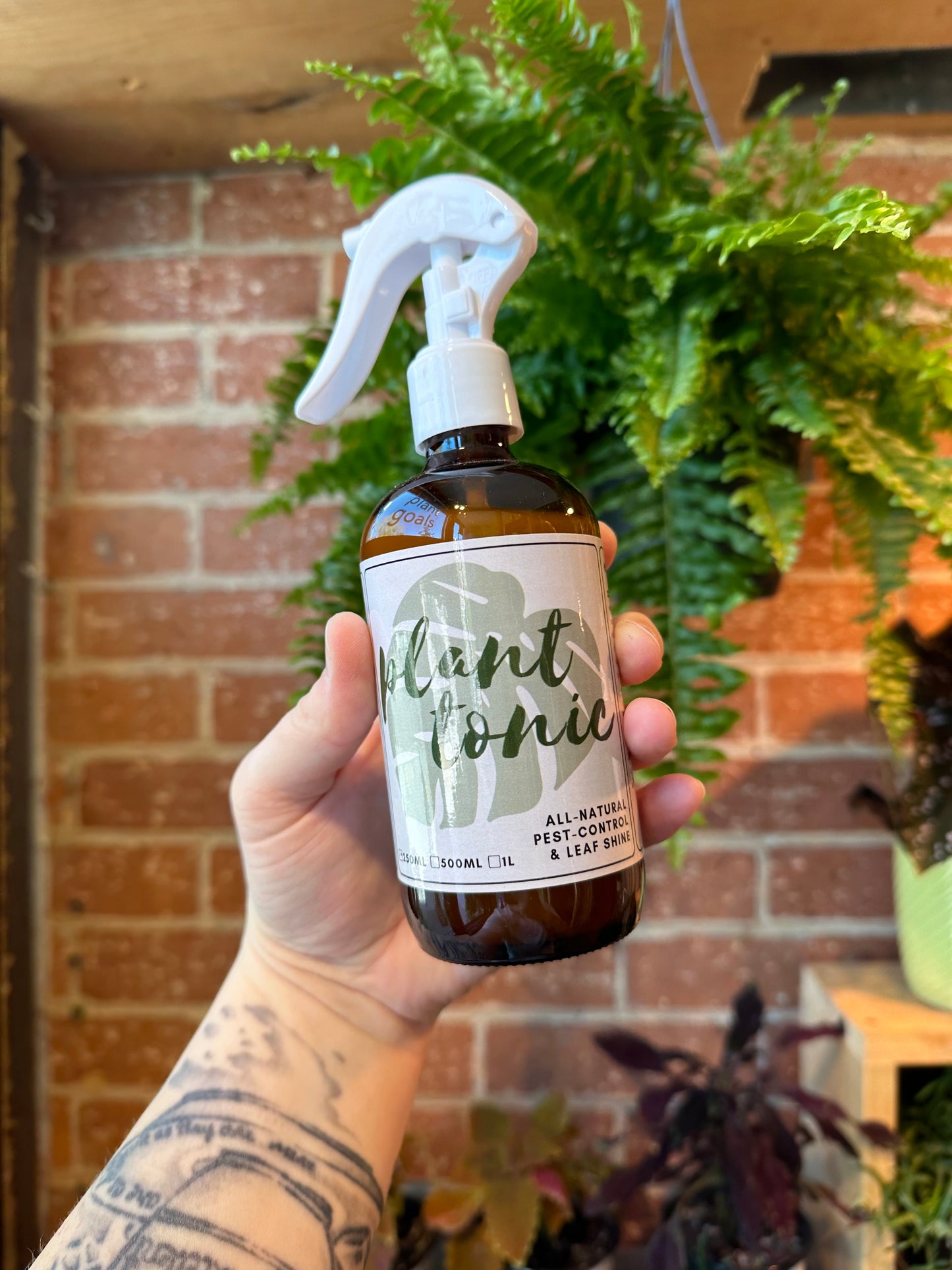 Plant Tonic | 250ml Spray