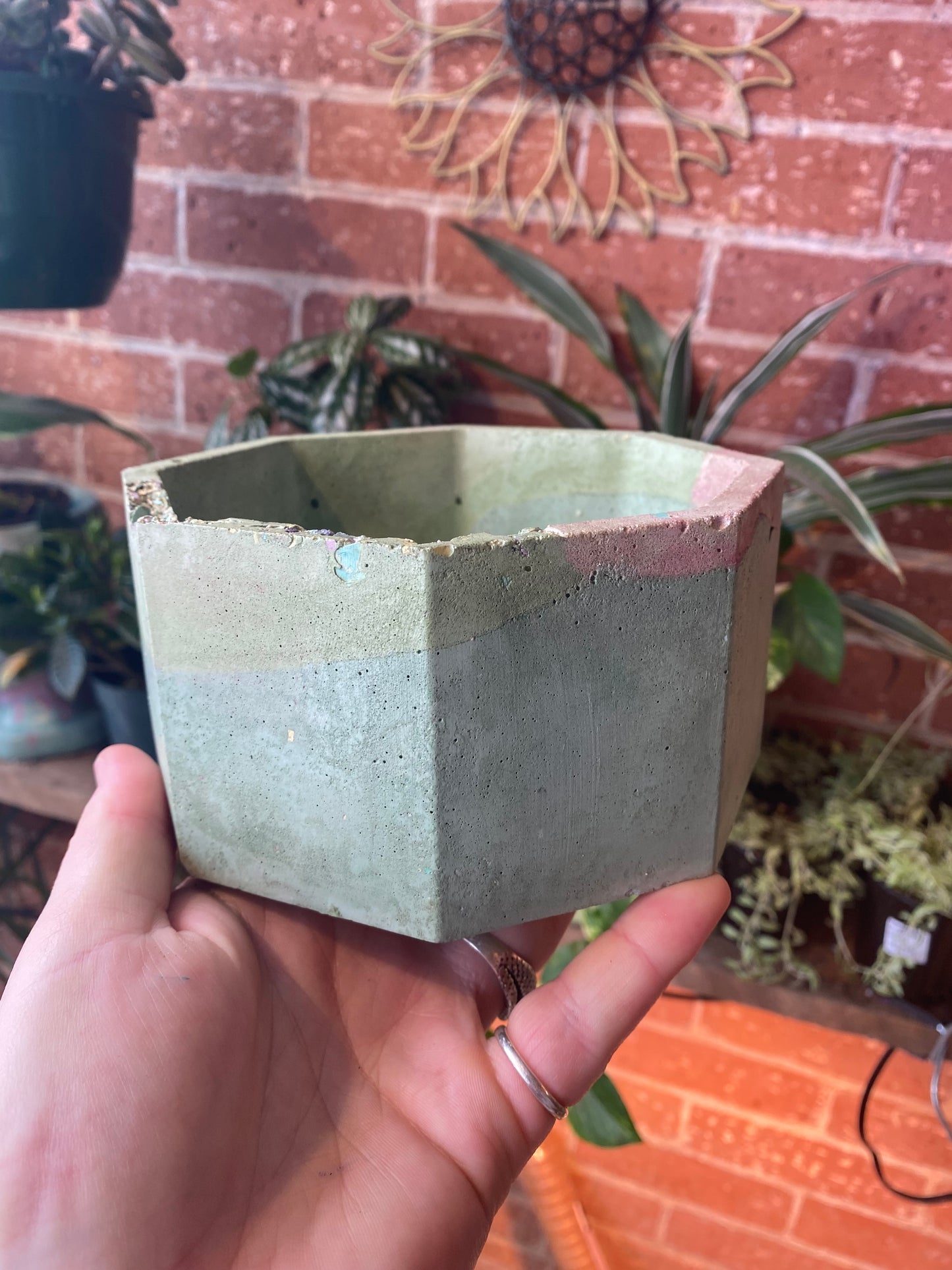 6” Octagon concrete planter / pink & green