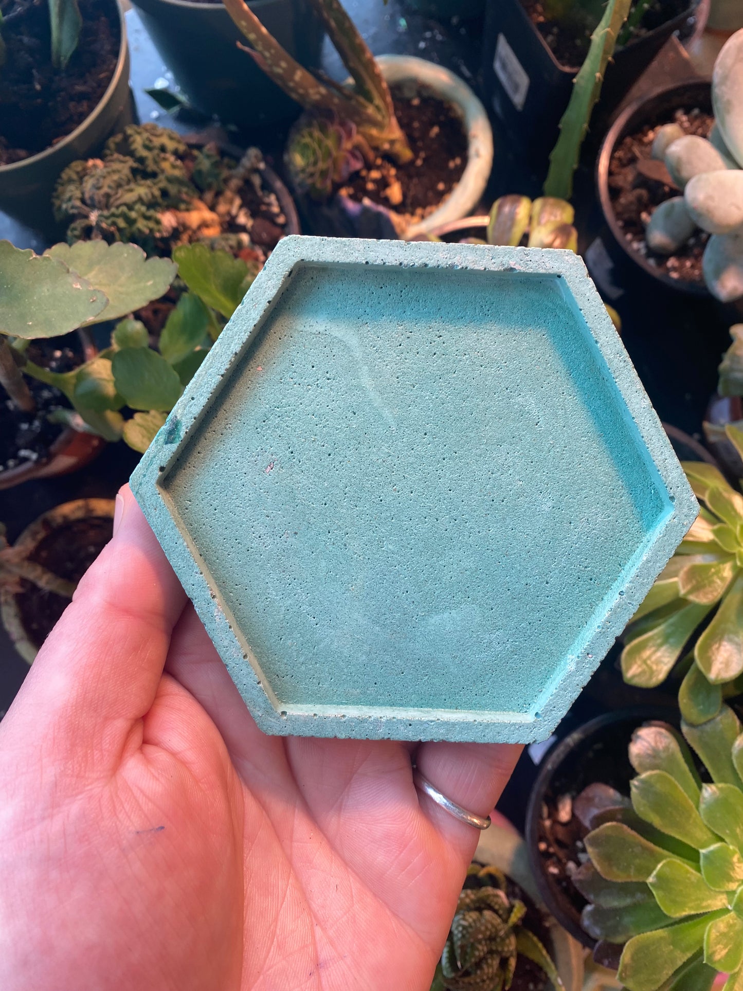 Hexagon Concrete Tray