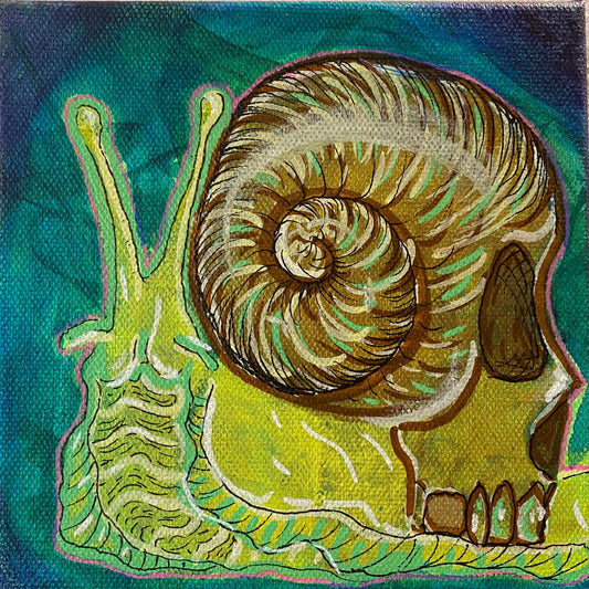 Skull Snail Shell canvas art