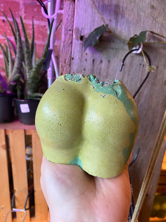2.5" Concrete Butt Pot Avocado/Turquoise w confetti