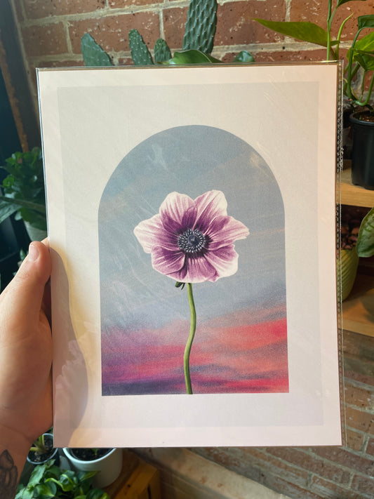 Purple Anemone Art Print 8.5"x11"